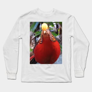 Golden Pheasant Long Sleeve T-Shirt